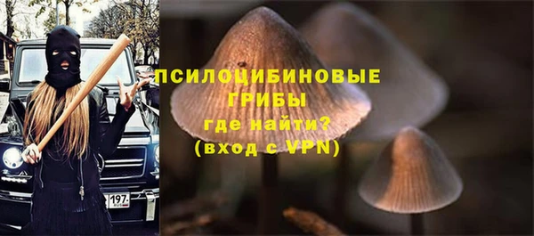 трава Краснослободск