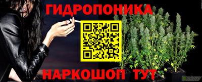 jwh Лесосибирск