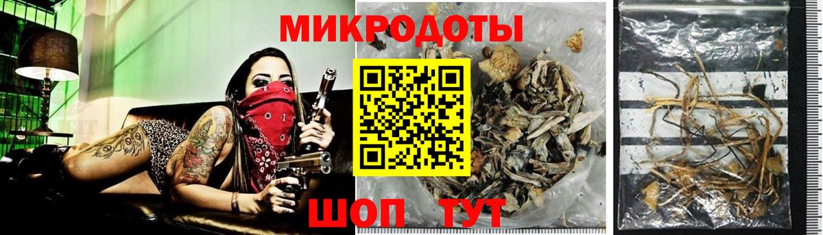 Галлюциногенные грибы мицелий Троицк