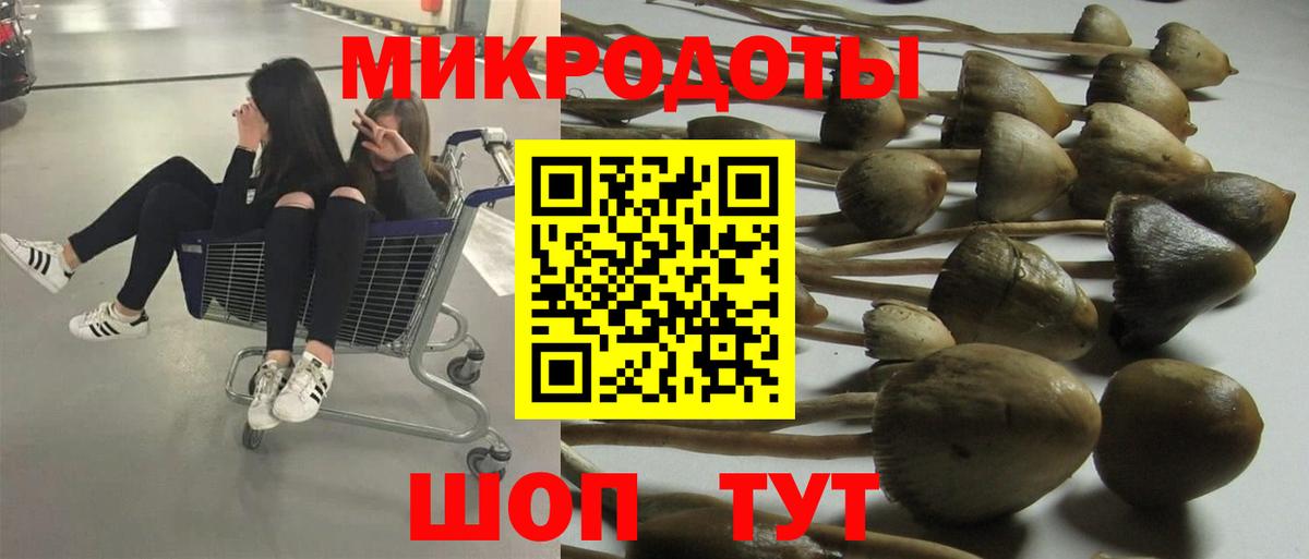 Троицк  Псилоцибиновые грибы мицелий  Вход с VPN 